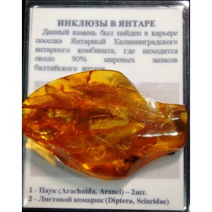 Vintage amber souvenir with inclusive